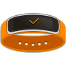 Gear Fit Manager 1.92.1110