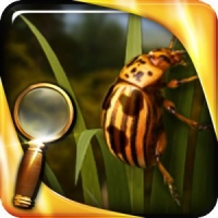 Treasure Island : The Golden Bug - Extended Edition 1.009