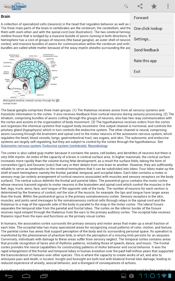 Dictionary (Ad-Free)