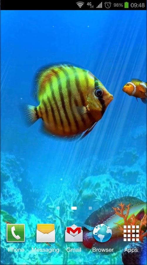 Tropical Ocean 3D LWP