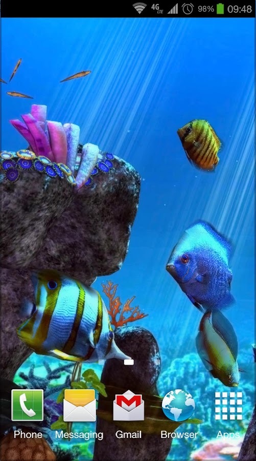 Tropical Ocean 3D LWP