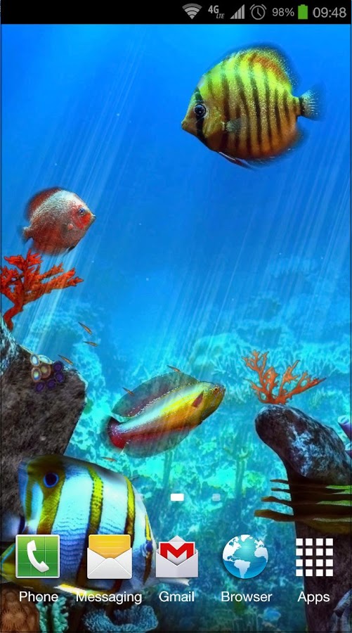 Tropical Ocean 3D LWP