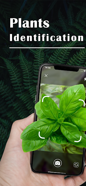 Plant ID - Plant Identification - PictureThis (mod)