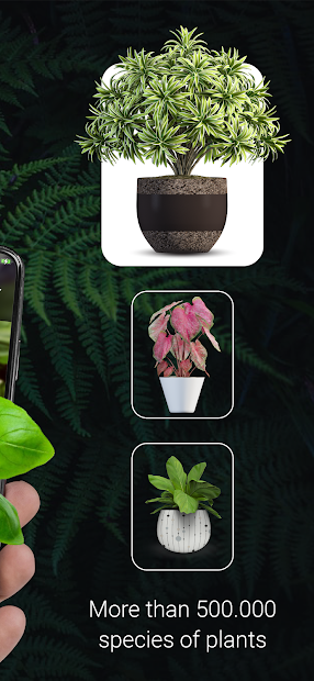 Plant ID - Plant Identification - PictureThis (mod)