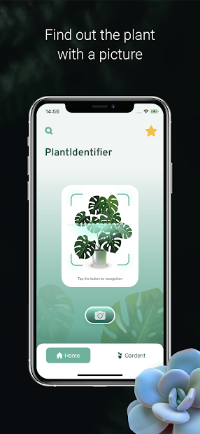 Plant ID - Plant Identification - PictureThis (mod)