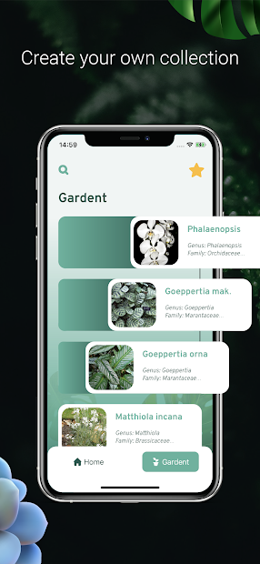 Plant ID - Plant Identification - PictureThis (mod)