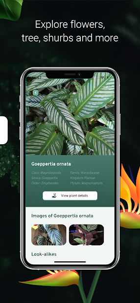 Plant ID - Plant Identification - PictureThis (mod)