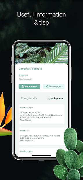 Plant ID - Plant Identification - PictureThis (mod)