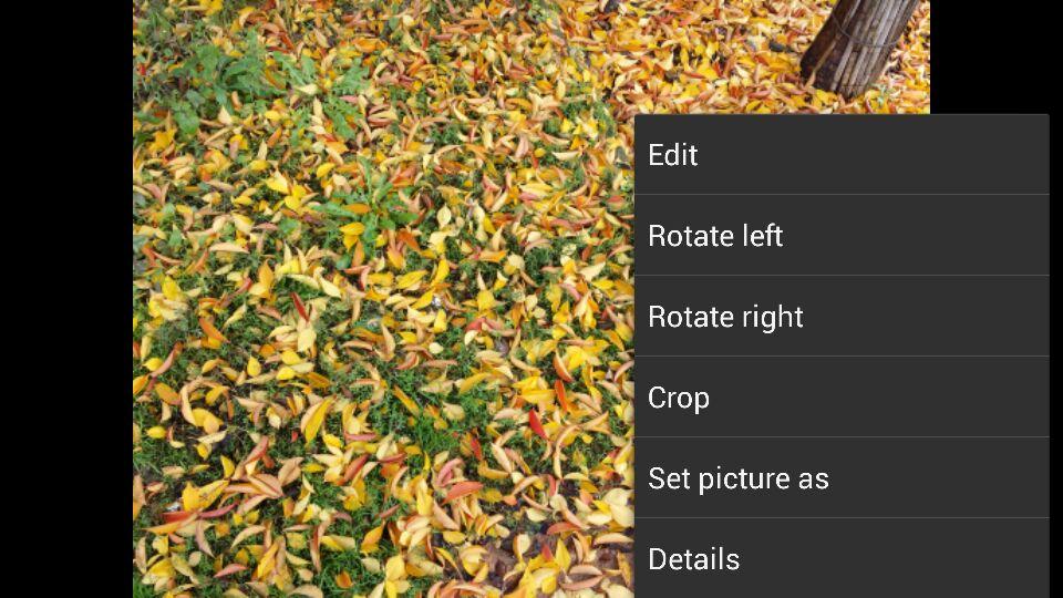 Nexus Camera: KitKat Camera