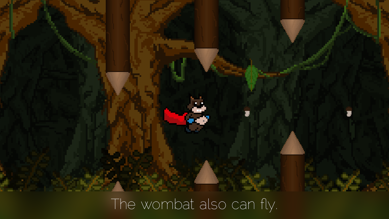 Wombat's Adventure PRO