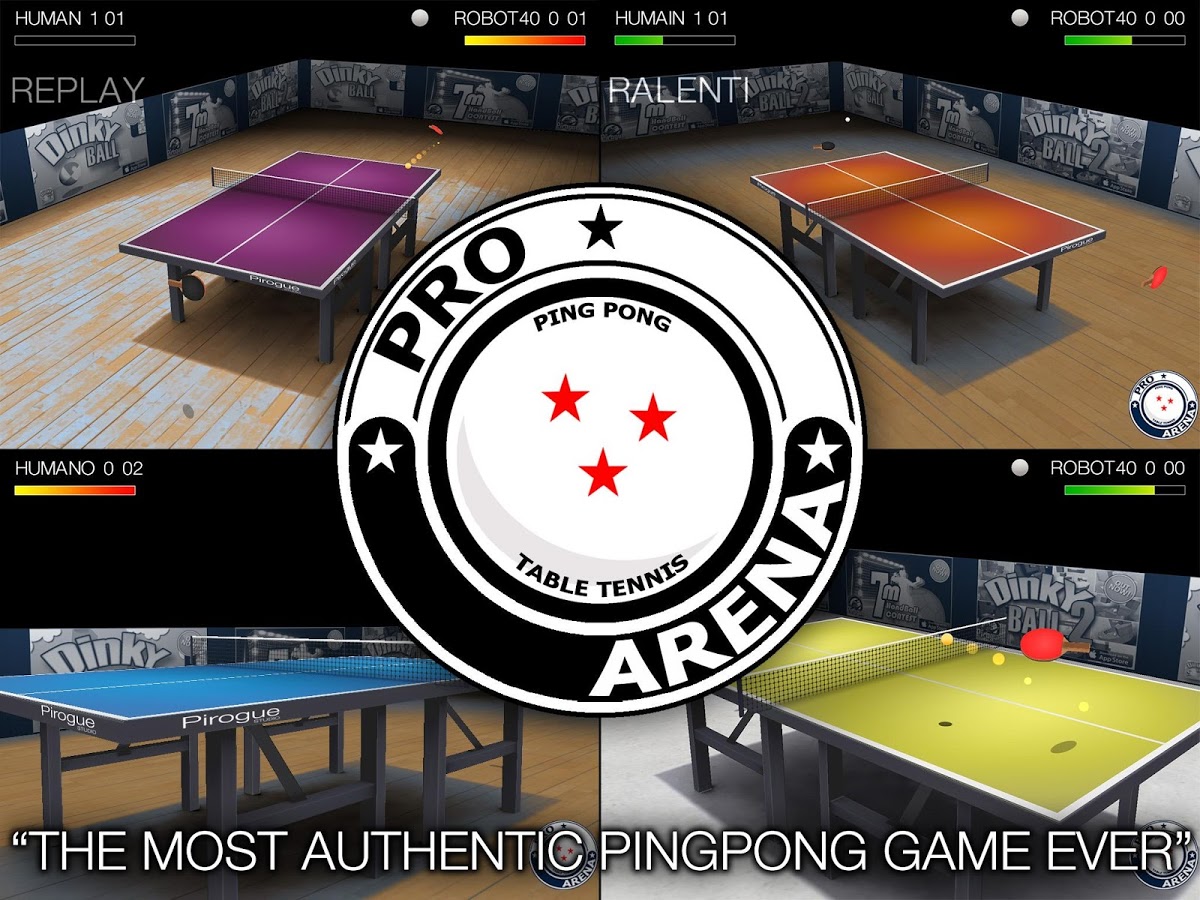 Pro Arena Table Tennis