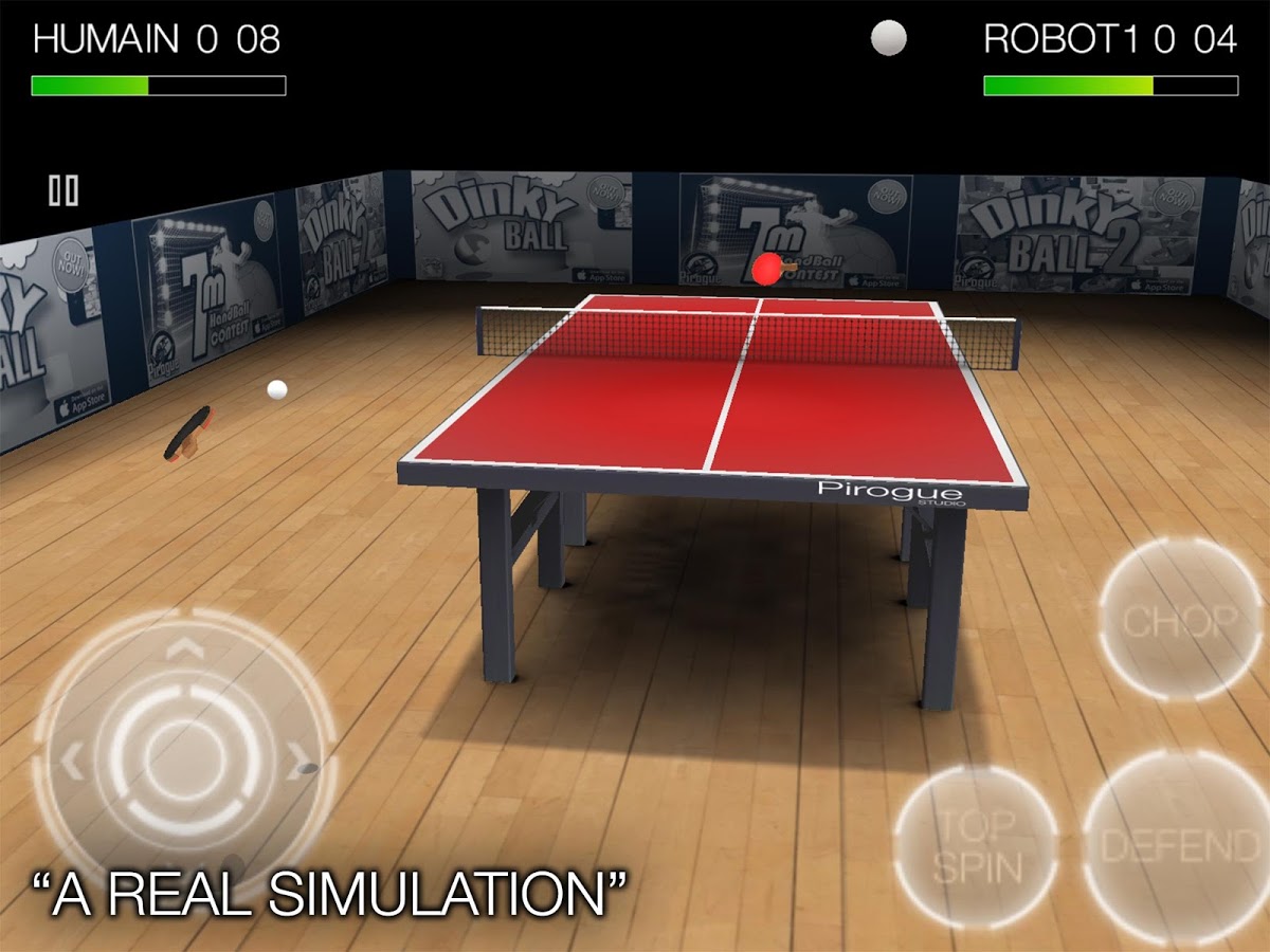Pro Arena Table Tennis