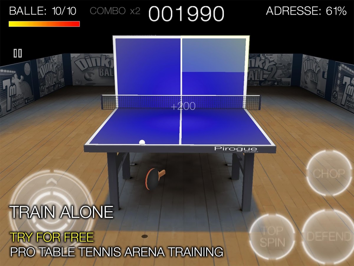 Pro Arena Table Tennis