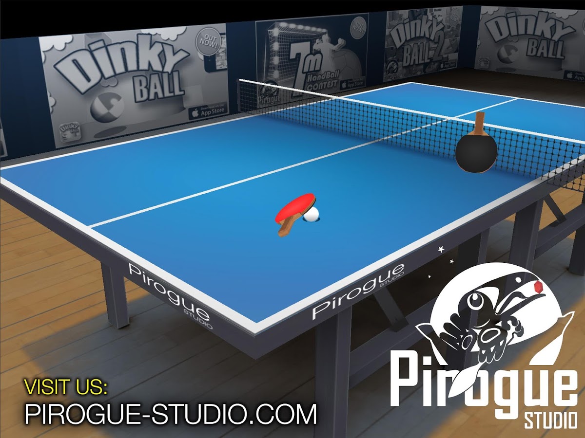 Pro Arena Table Tennis