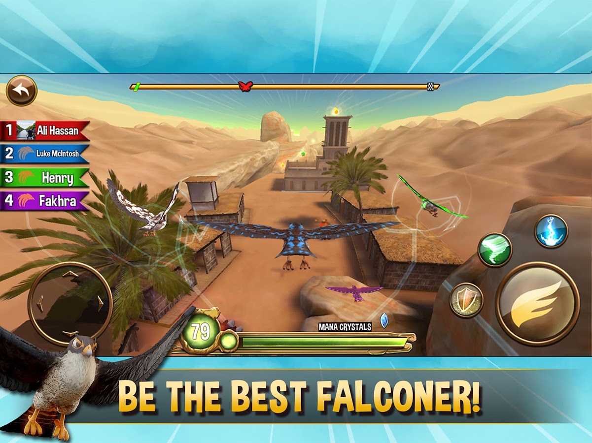 Falcon Valley Multiplayer Race