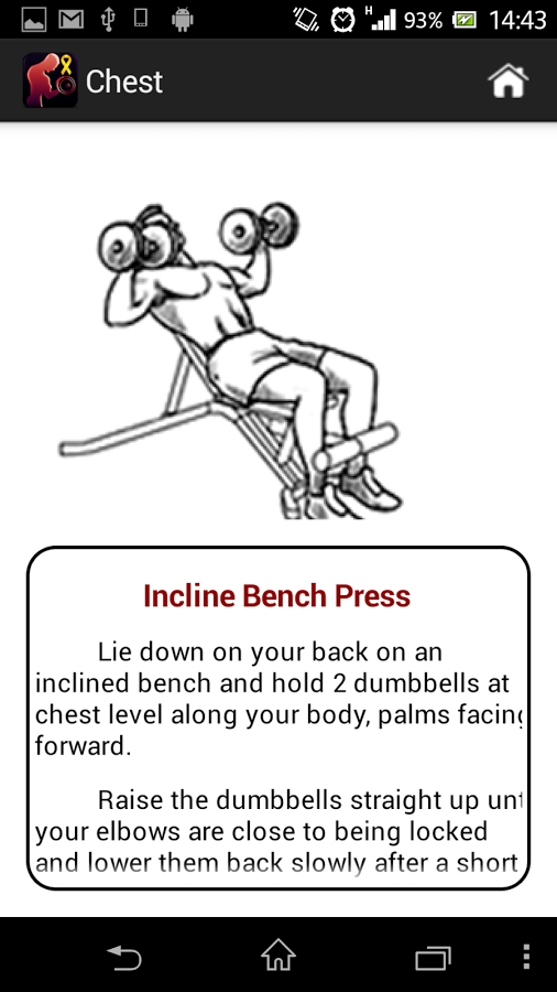 Dumbbell Muscle Workout Plan P