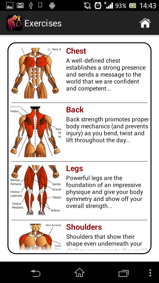Dumbbell Muscle Workout Plan P