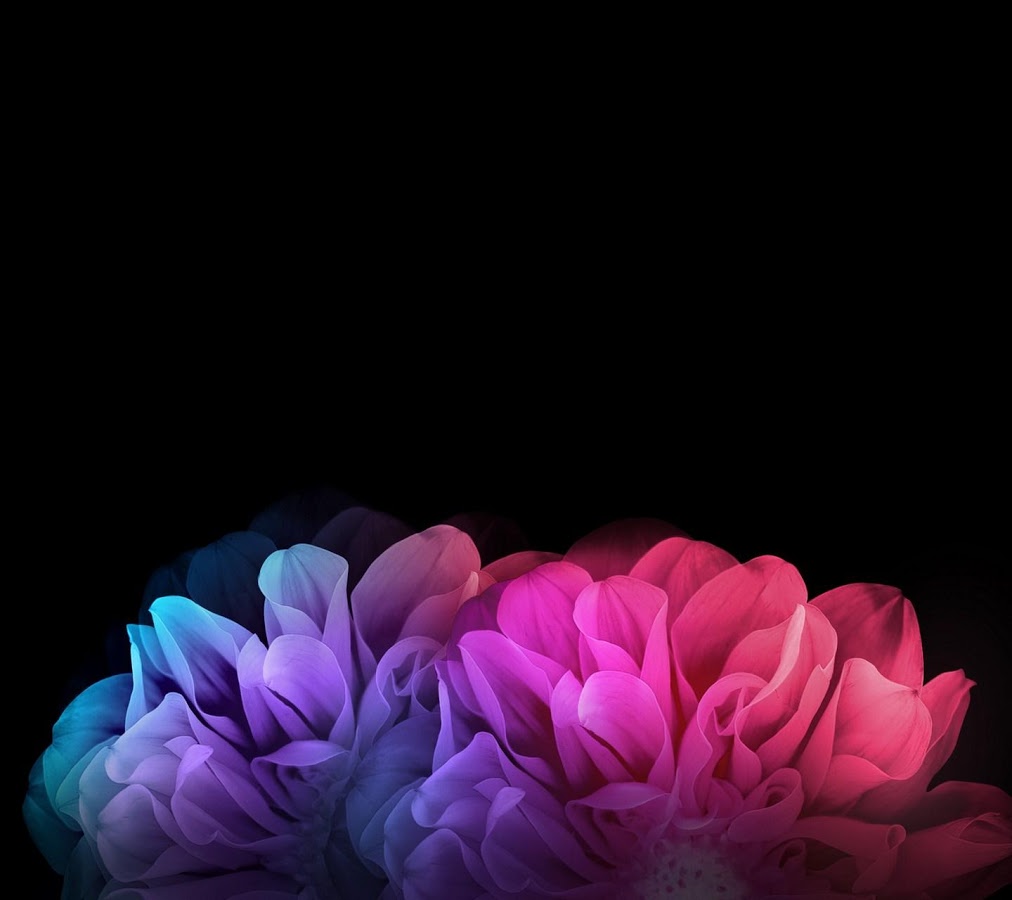 Wallpapers G4