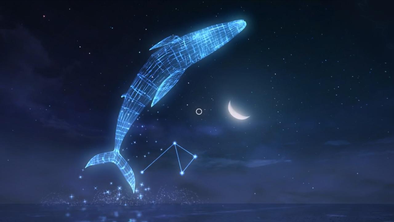 VR Star Pro