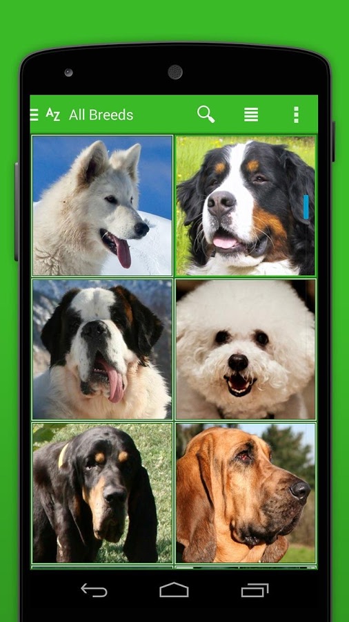 iKnow Dogs 2 PRO