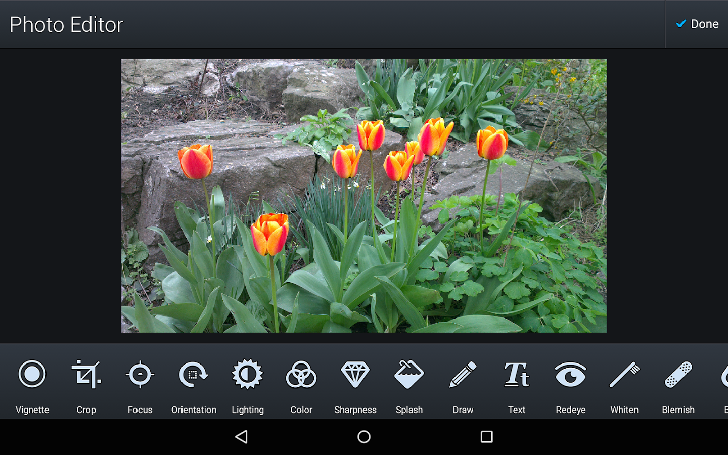 Quick Gallery Photo Editor