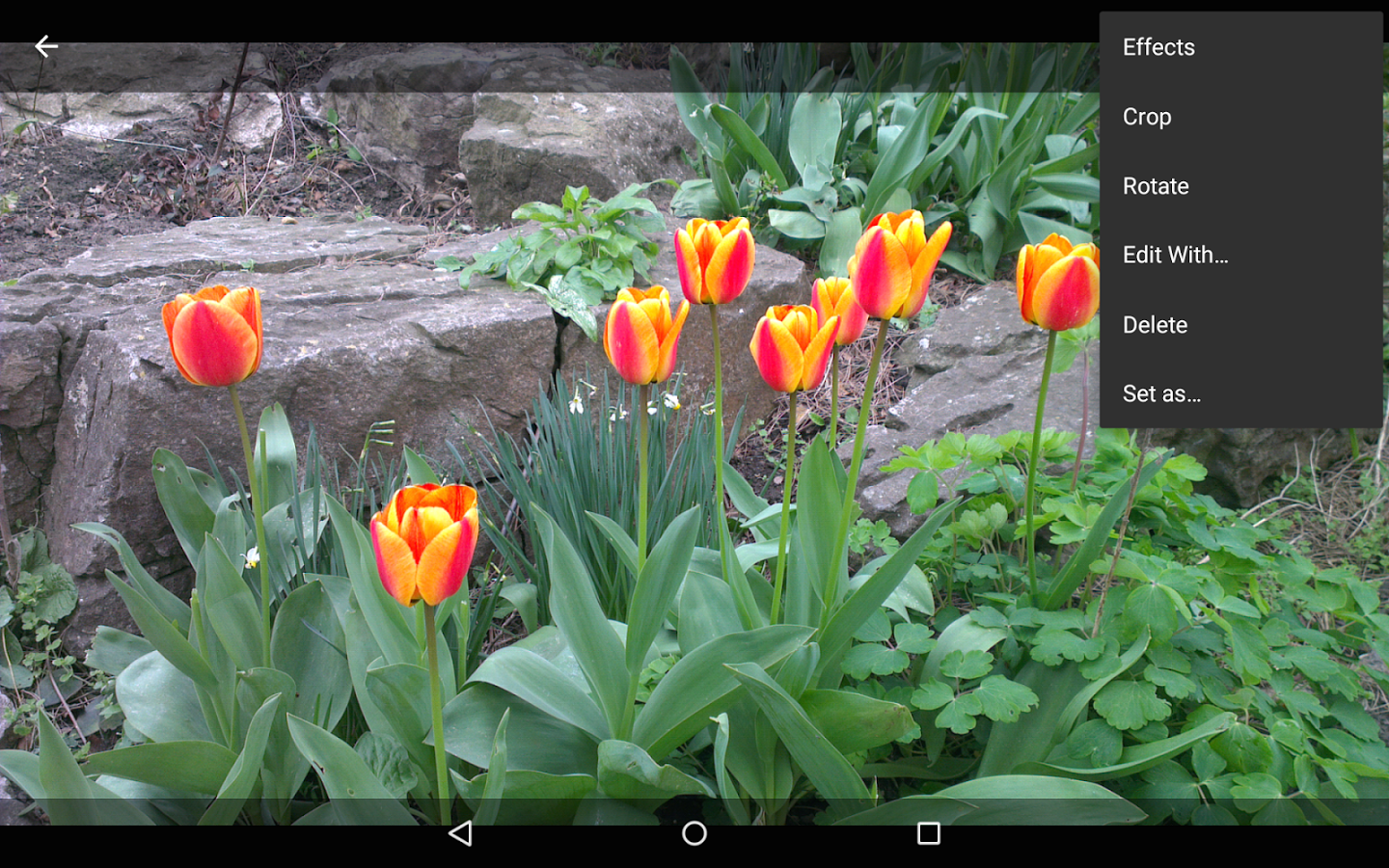 Quick Gallery Photo Editor