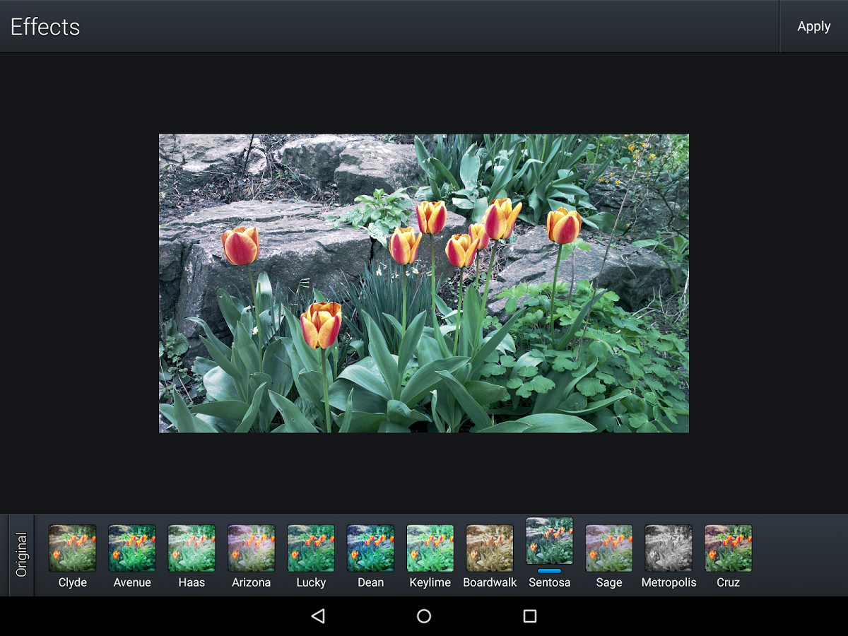 Quick Gallery Photo Editor