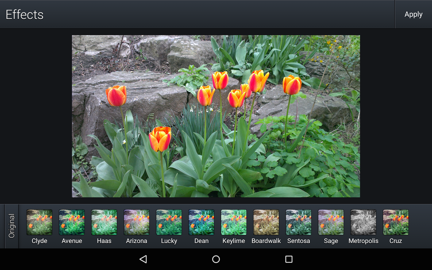 Quick Gallery Photo Editor