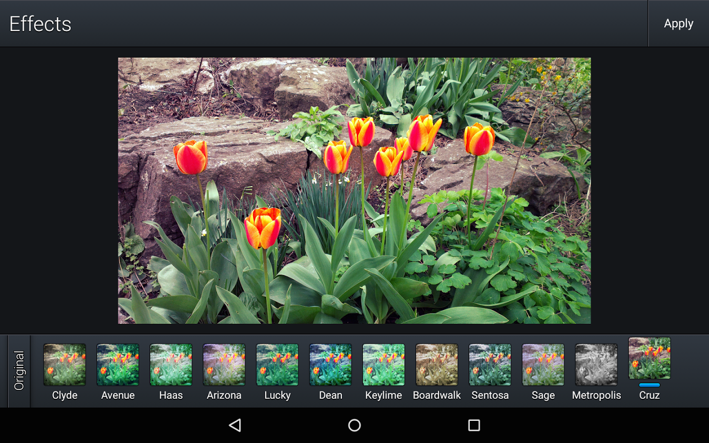 Quick Gallery Photo Editor