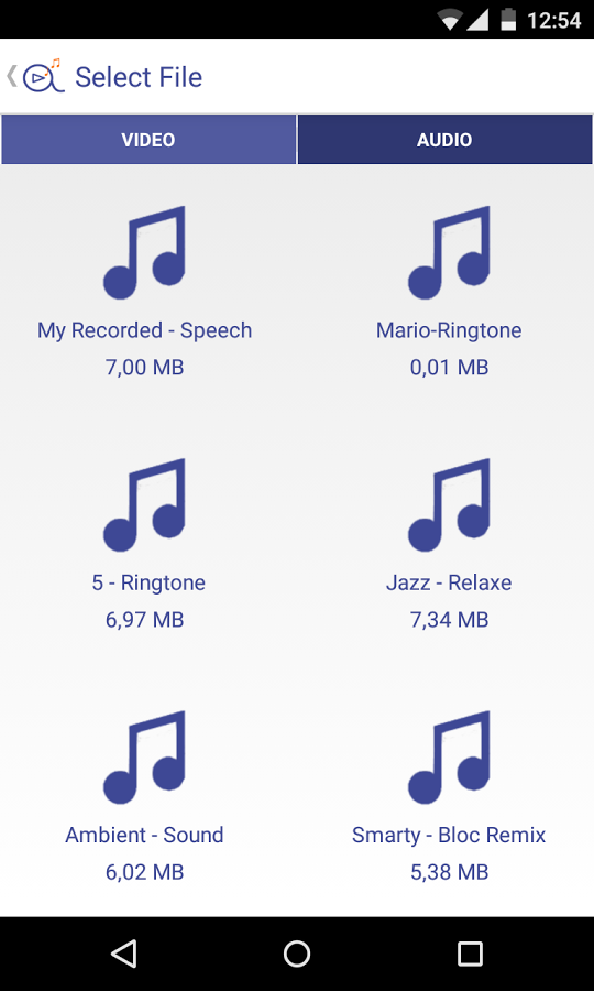 Audiolize it! Pro - Converter