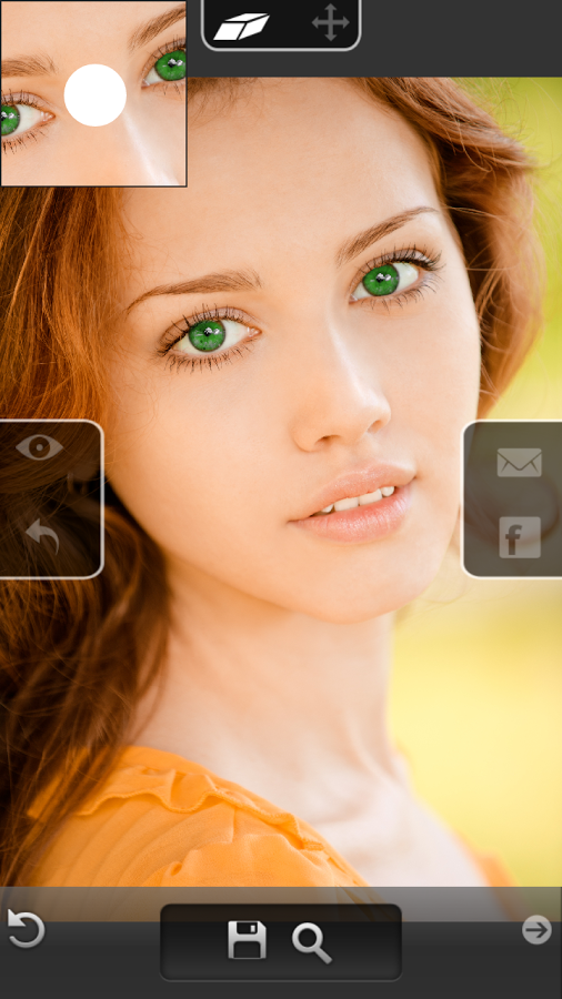 Eye Color Changer - Grid Pro