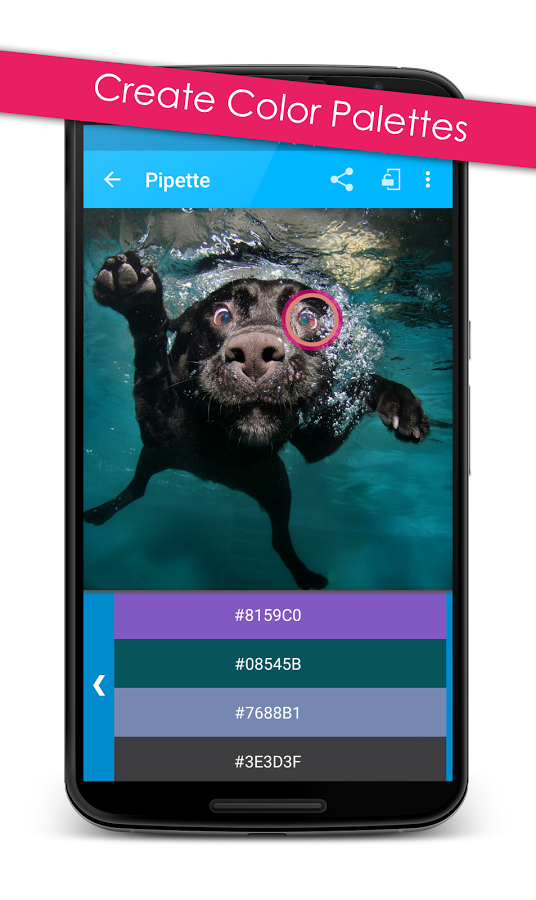 Pipette Plus - Color Picker