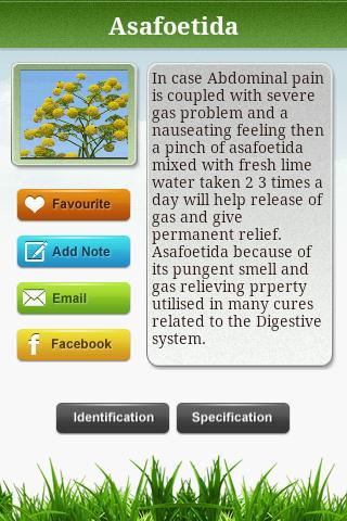 Herbs that Cures