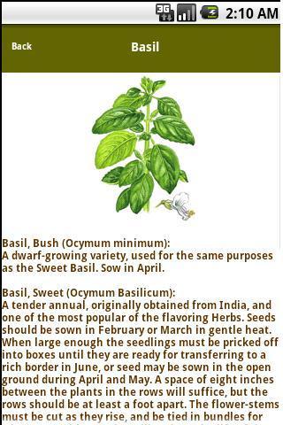 The Herb Grower's Handbook