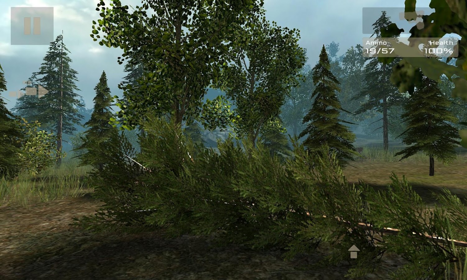 7 Days Survival: Forest