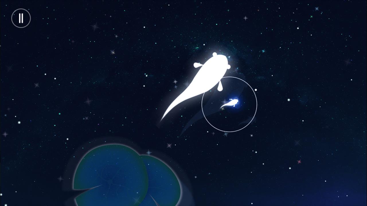 KOI - Journey of Purity