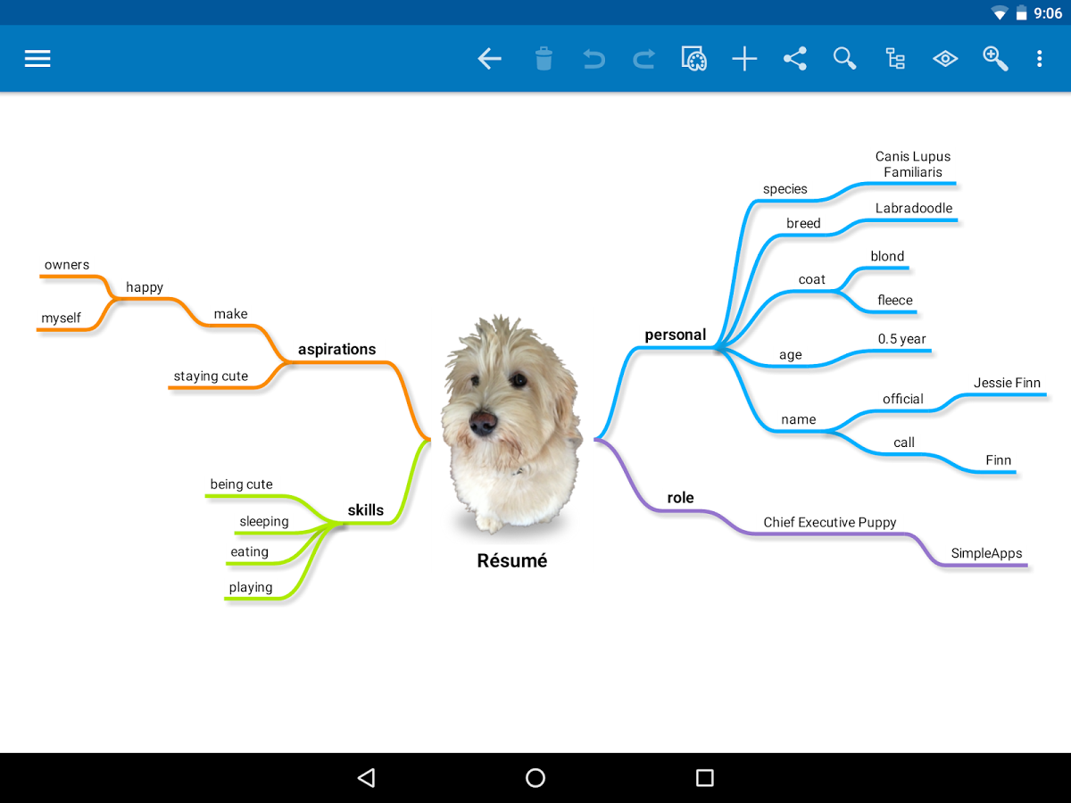 SimpleMind Pro mind mapping