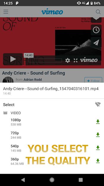 Video Downloader (Pro)