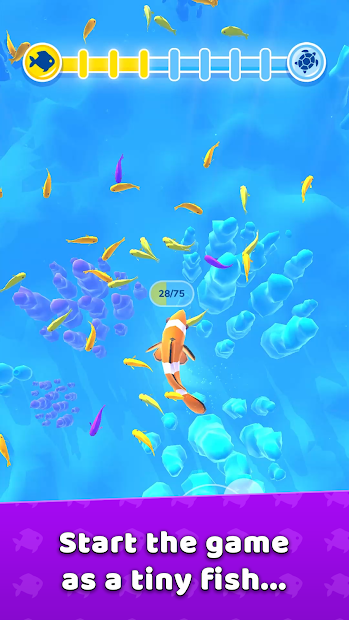 Hyper Evolution (Mod Money)