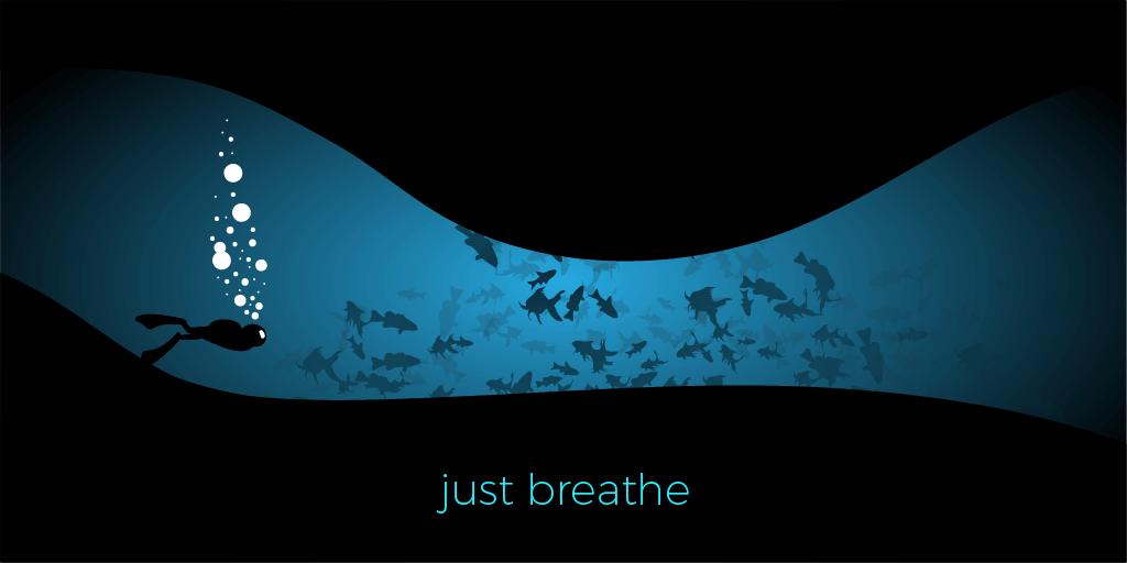 Diver, diver!