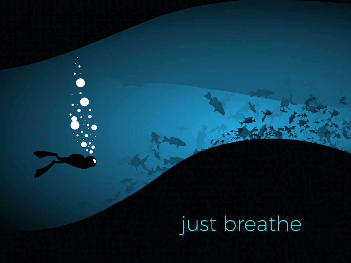 Diver, diver!