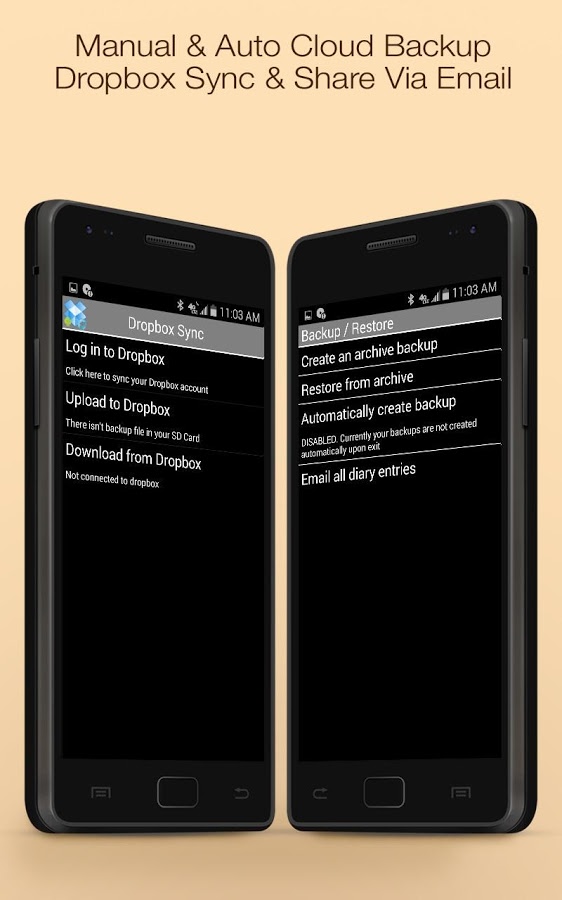 Secret Diary Notes Journal PRO