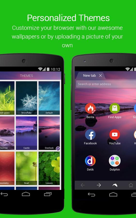 Dolphin Browser Express