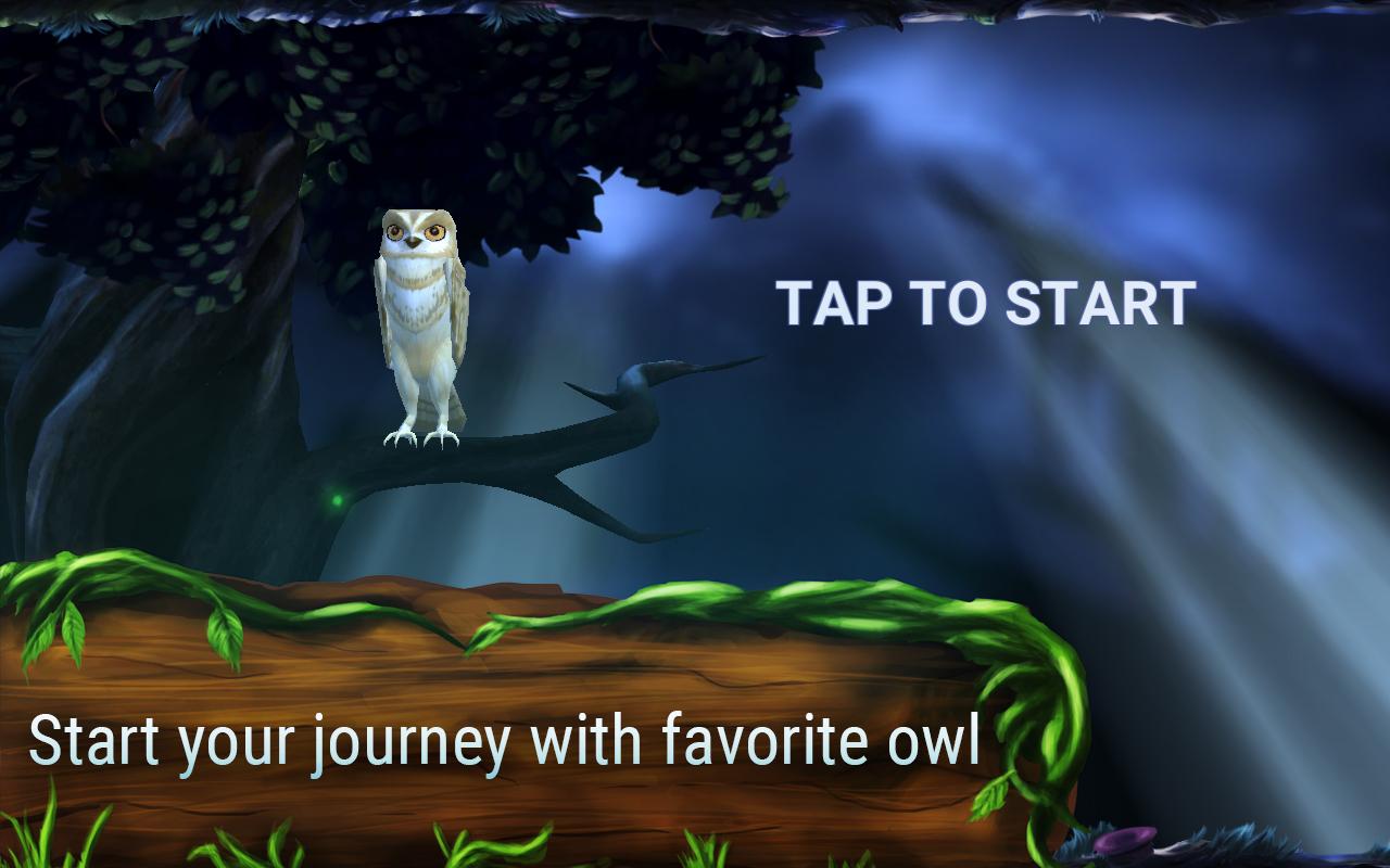 Owl's Midnight Journey (Mod Money)