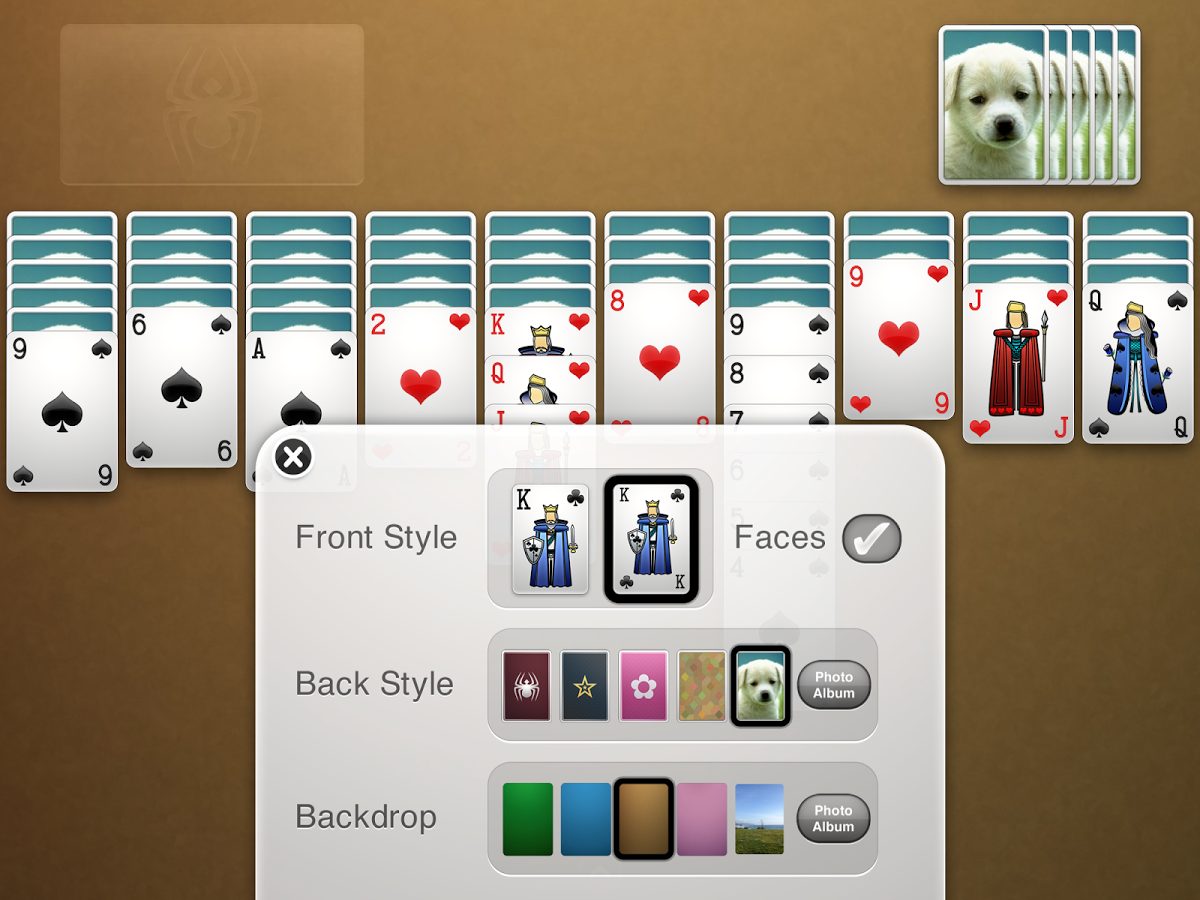 Spider Solitaire+