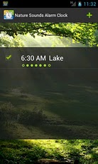 Nature Sounds Alarm Clock