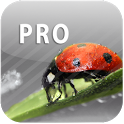 ColorUp Pro - Photo Editor 2.2.0