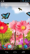 Flowers HD LWP!