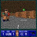 Wolfenstein 3D 10