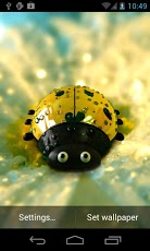 Ladybug Live Wallpaper